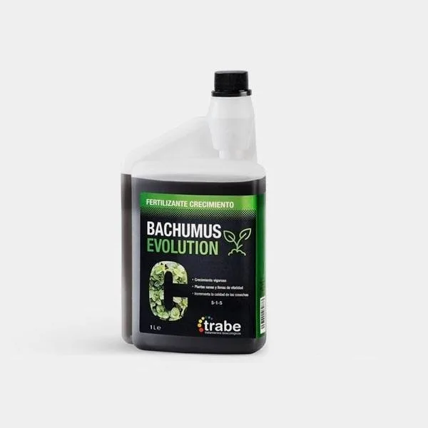Bachumus Evolution C (Crecimiento)