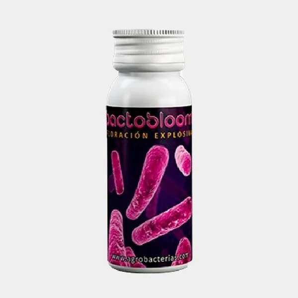 Bactobloom Floración