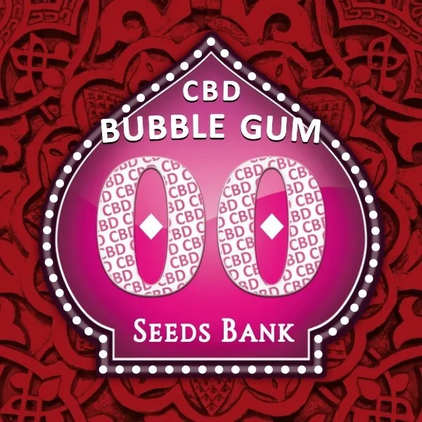 Bubble Gum CBD