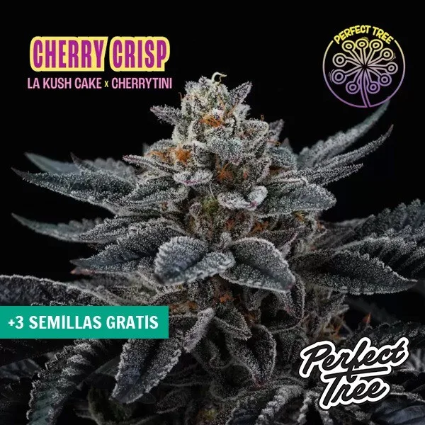 Cherry Crisp