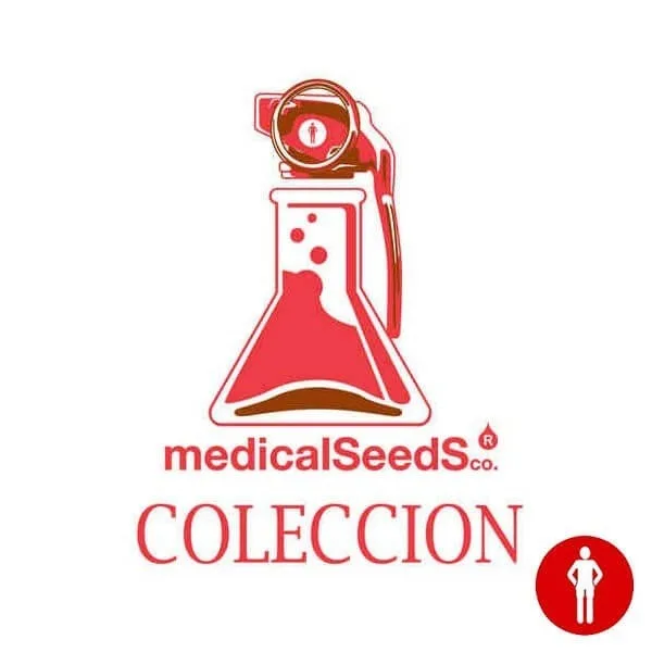 Colección 4