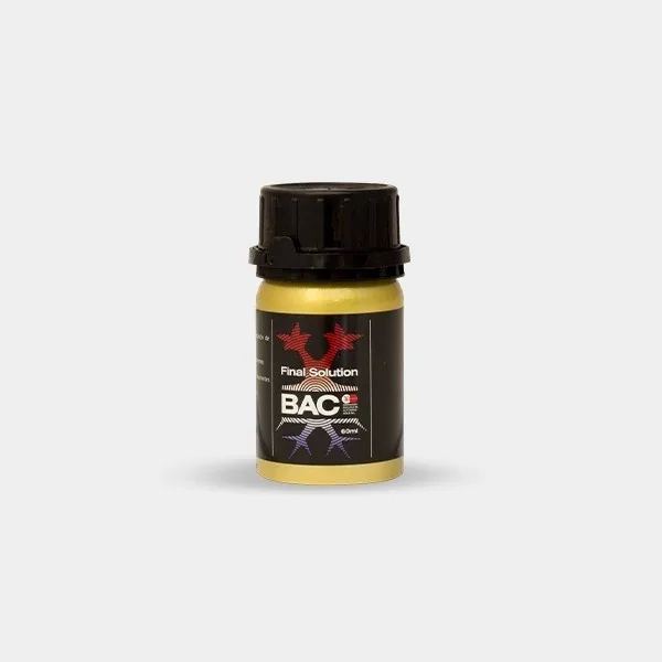 Final Solution BAC