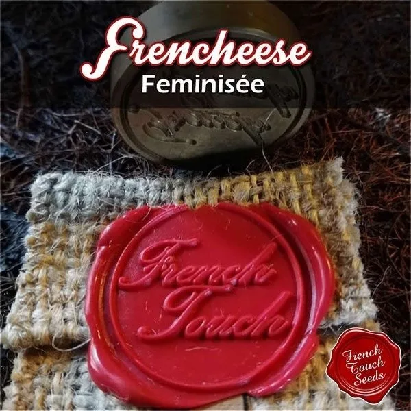 Frencheese