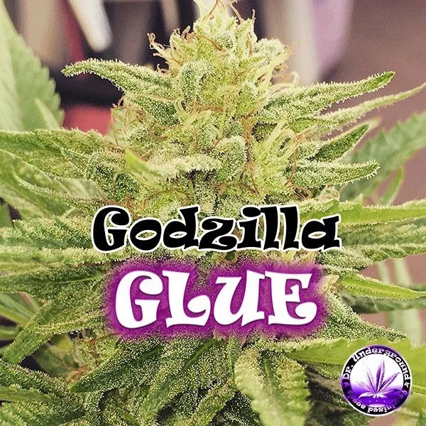 Godzilla Glue