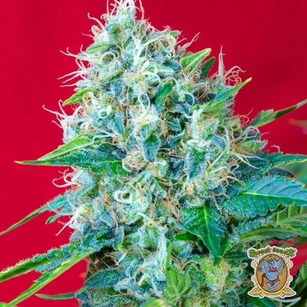 Green Poison