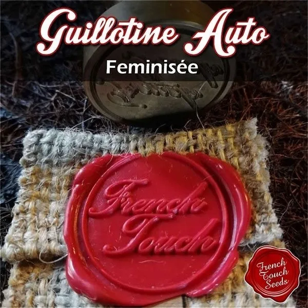 Guillotine Auto