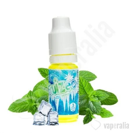 Icee Mint 10ml - Fruizee