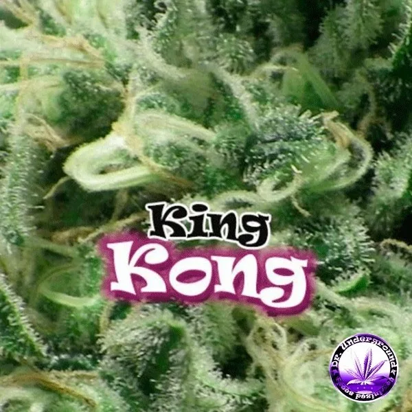 King Kong