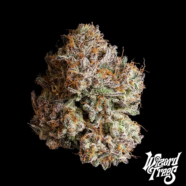 Obsidian de Wizard Trees