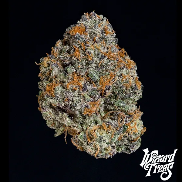 Potion de Wizard Trees