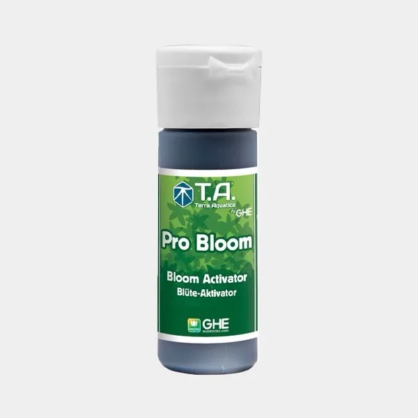 Pro Bloom