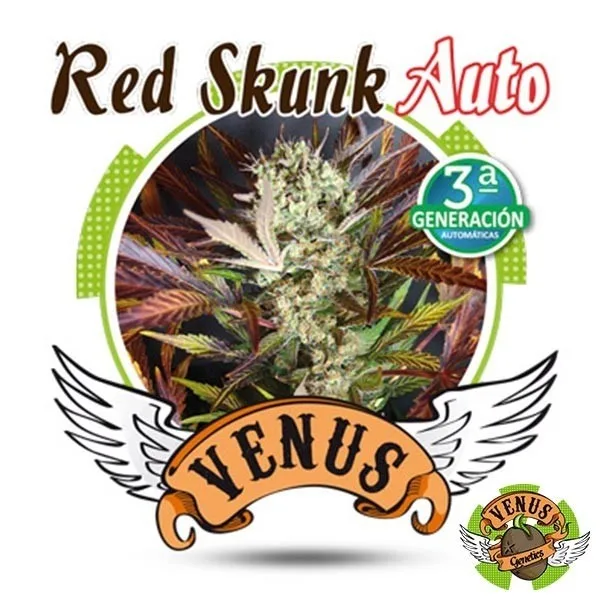 Red Skunk Auto