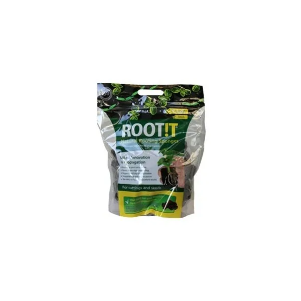 Root It (tacos)