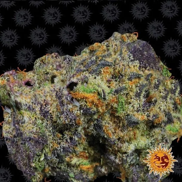 Runtz Muffin