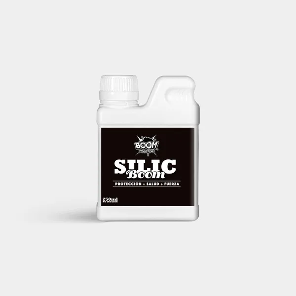 Silic Boom