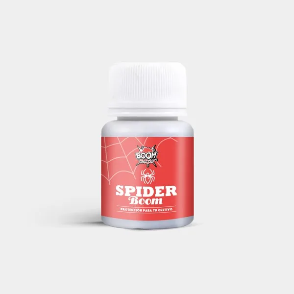 Spider Boom