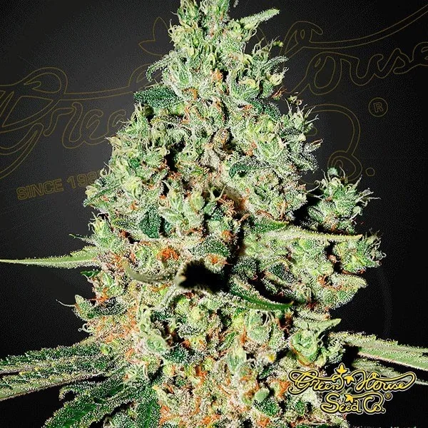 Super Critical