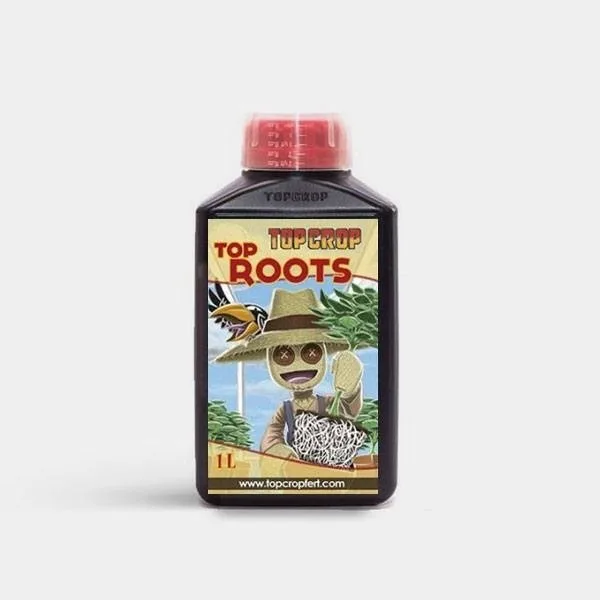 Top Roots