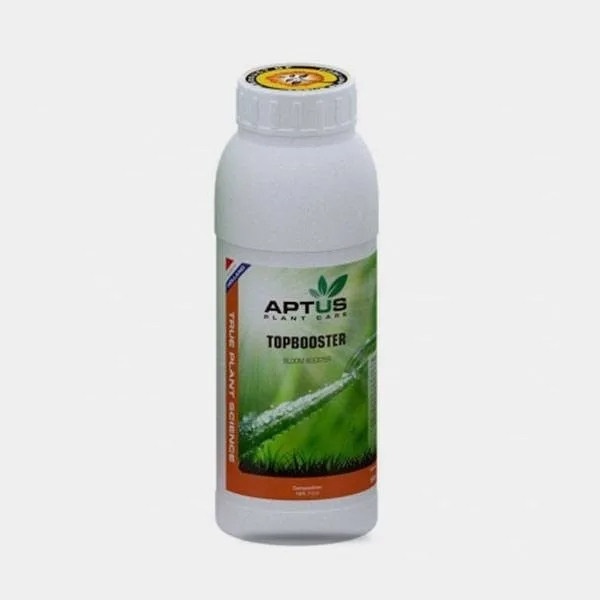 TopBooster