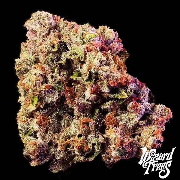 Wizard Fuel de Wizard Trees